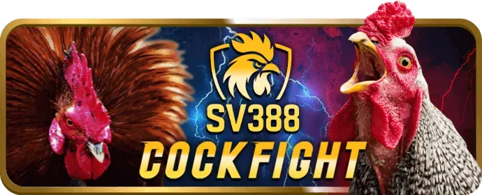 Chương trình VIP độc quyền vn666 win